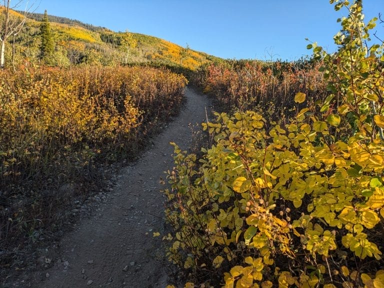 Mountain Biking in Steamboat Springs