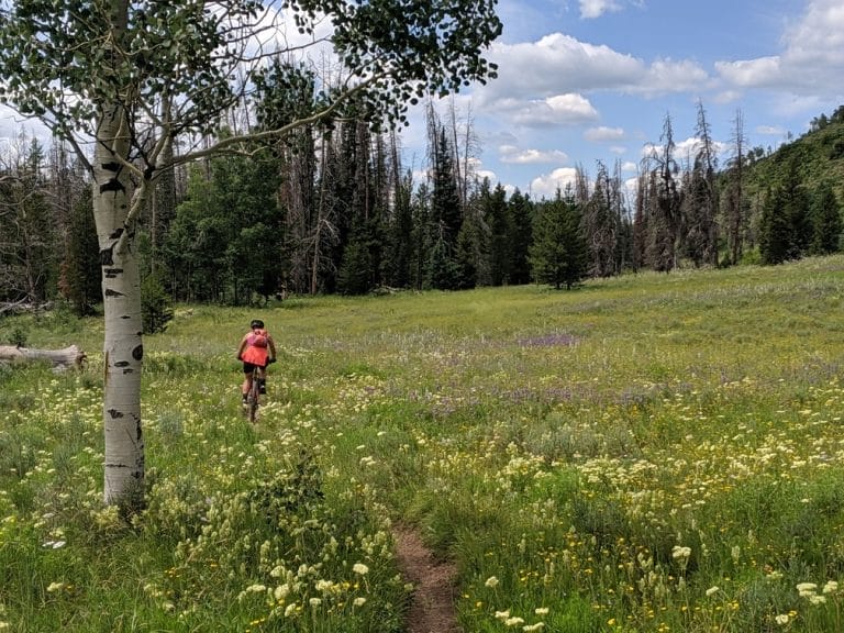 Steamboat Springs Summer