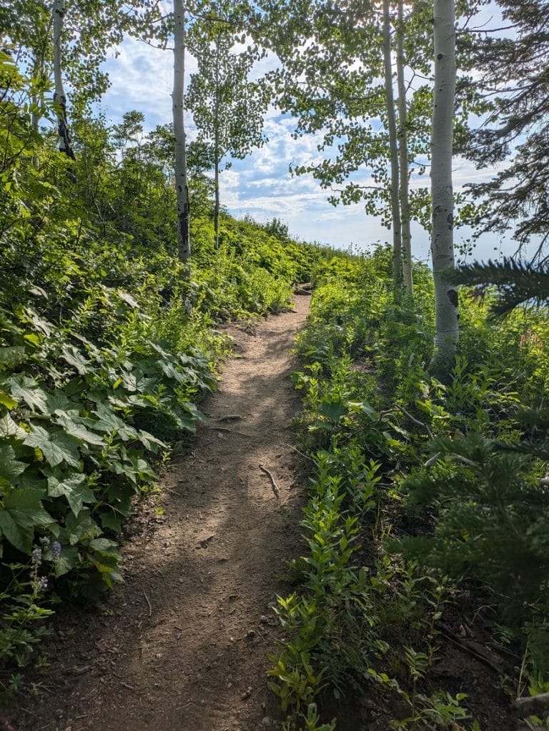 Hiking Trails in Steamboat Springs